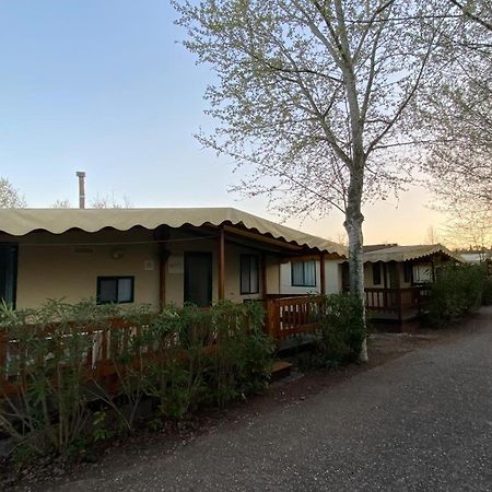 Zona Rosa 5 Chalet Mit Klimaanlage Und Wlan Viareggio Exterior photo